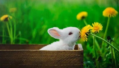 Meta 关闭《死侍 VR》、《阿斯加德之怒 2》及《生化危机 4 VR》背后的开发工作室